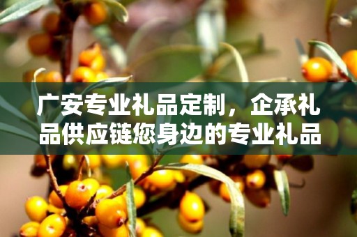 广安专业礼品定制，企承礼品供应链您身边的专业礼品定制公司