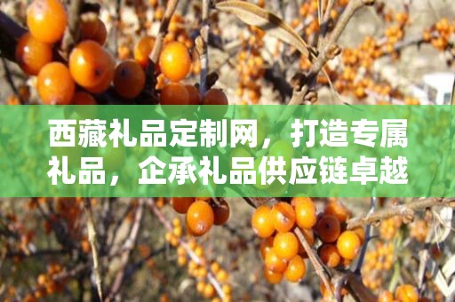西藏礼品定制网，打造专属礼品，企承礼品供应链卓越服务
