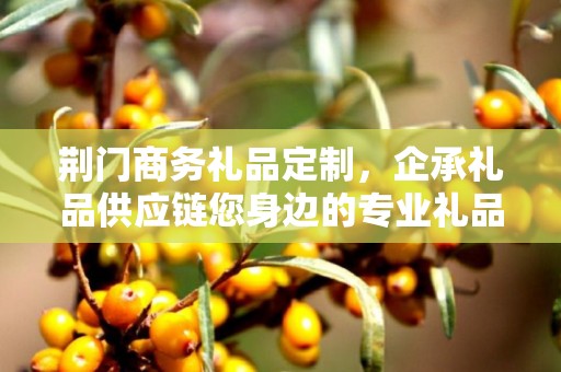 荆门商务礼品定制，企承礼品供应链您身边的专业礼品定制公司
